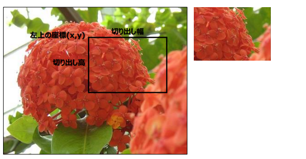 画像の切り出し