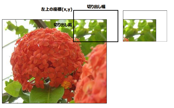 画像の切り出し(外側)